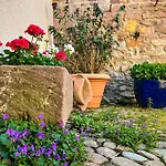 Storchenhof Апартаменты