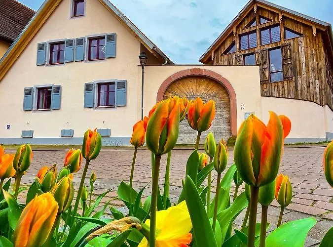 Storchenhof Teningen