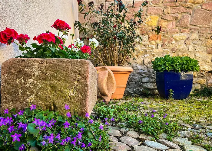 Storchenhof Apartman